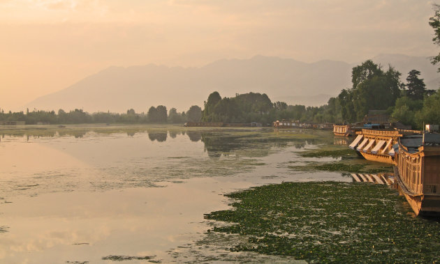 Dal lake