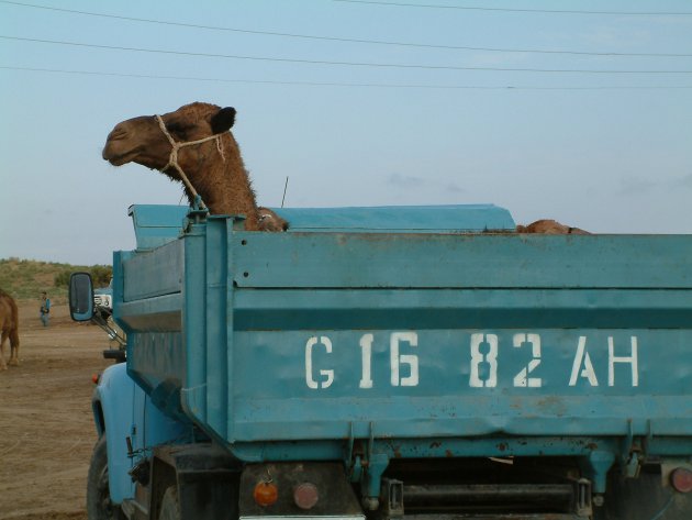 Opweg naar de kamelenmarkt van Ashgabat