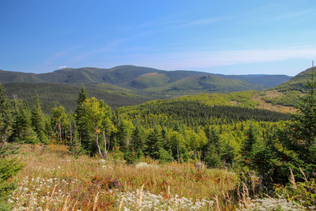 Parc National de la Gaspesie