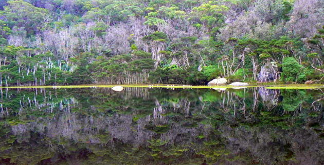 weerspiegeling