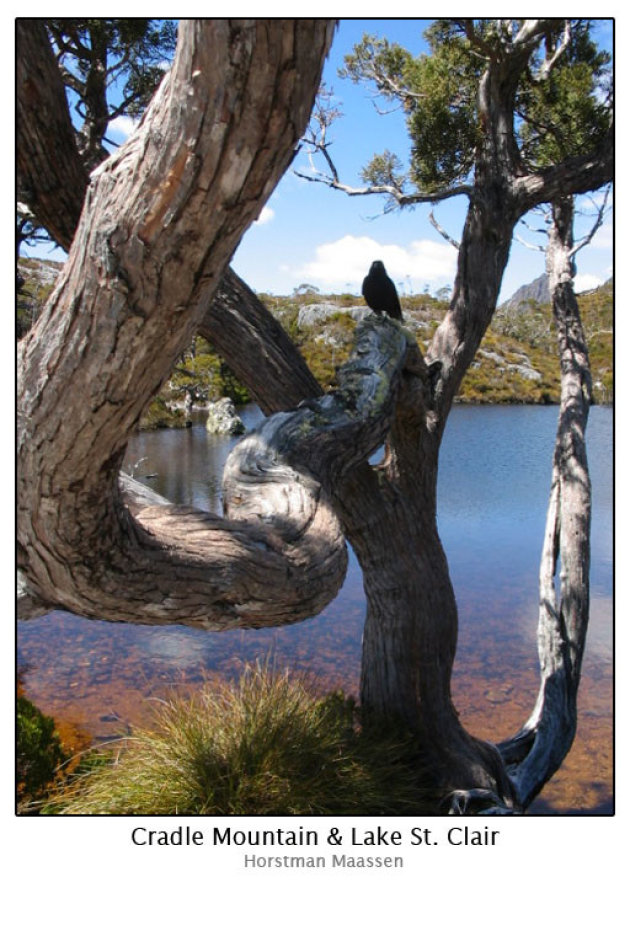 Cradle Mt & Lake St Clair National Park