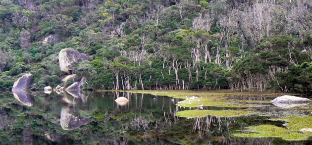 Tidal river