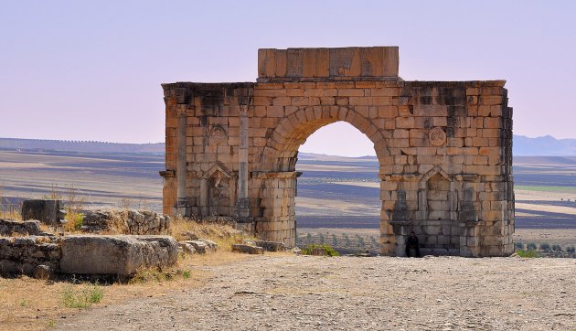 Volubilis !