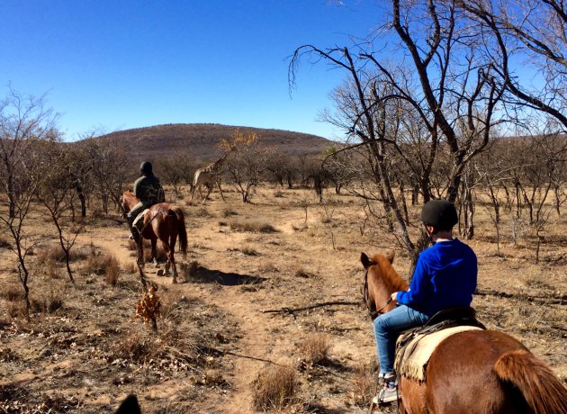 Te paard op safari