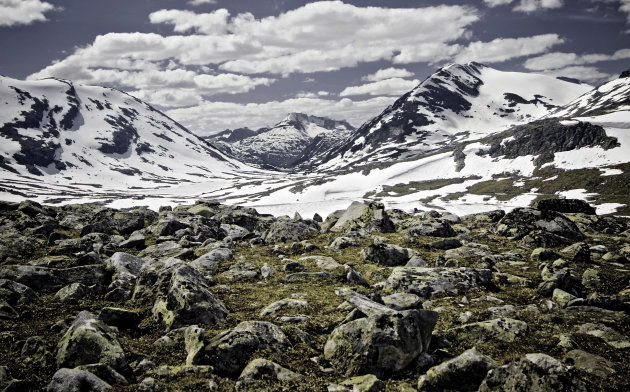 Wilderness Jotunheimen