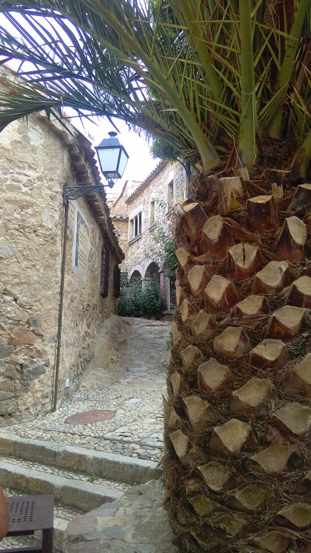 tossa de mar