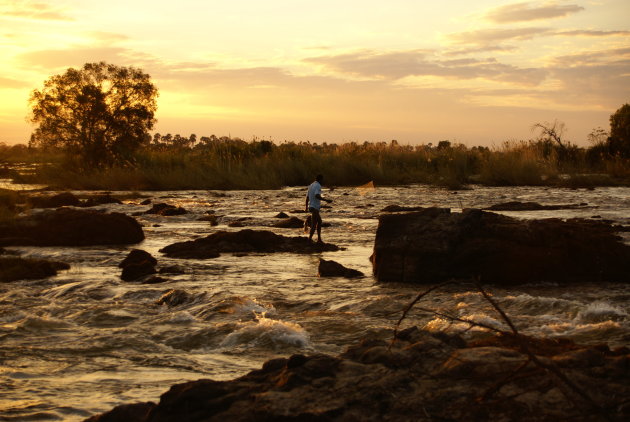 Visser bij de Victoria Falls