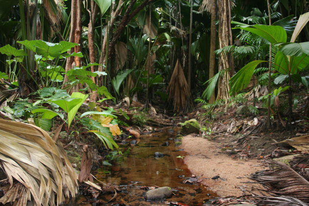 Nationaal park op Praslin