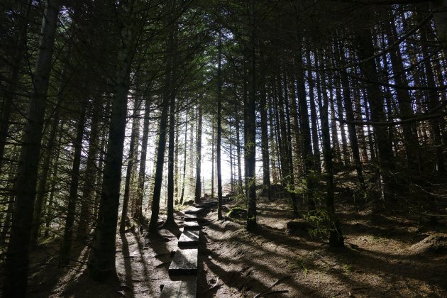 Hiken in Wicklow Mountains