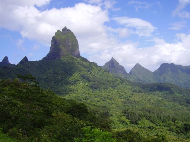 Moorea view