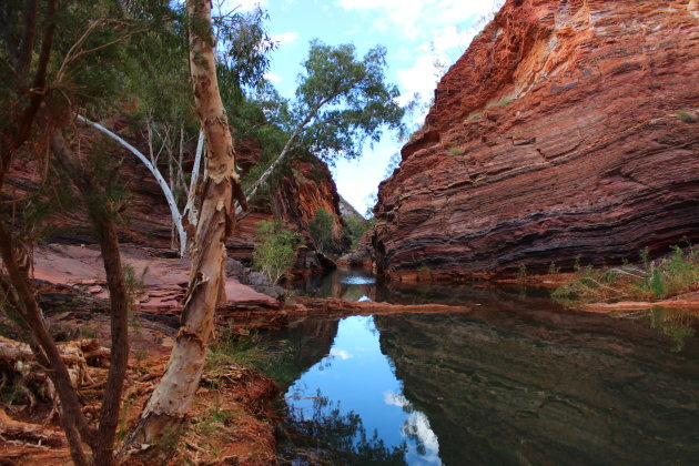 Hamersley Gorge