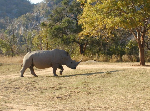 wandelsafari