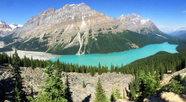 Wonderschoon Peyto Lake