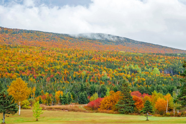 Indian summer kleuren op de cabot trail