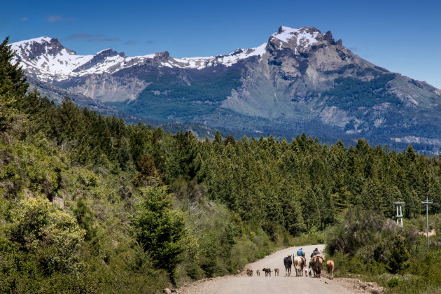 On the road over de Carretera Austral in Chili