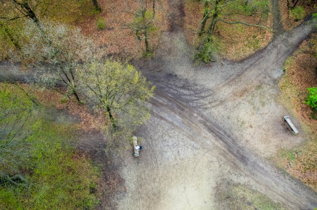 De Kaapse bossen van boven