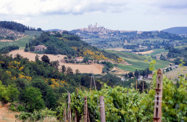 De glooiende Toscaanse heuvels