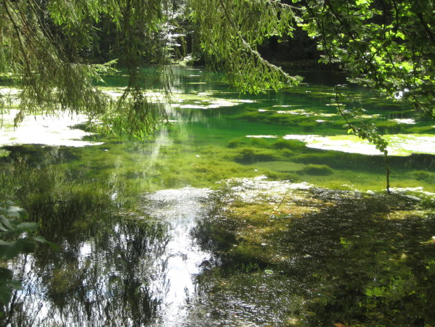 Ardennen, Samree, dichtbegroeid meer