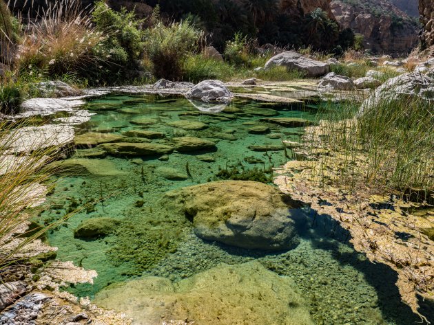 Wadi tiwi