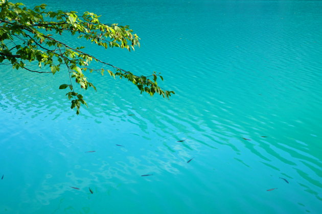 De wonderlijke Plitvice meren