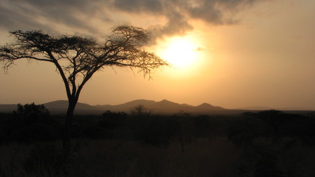 Afrikaanse zonsondergang