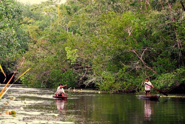 Rio Dulce