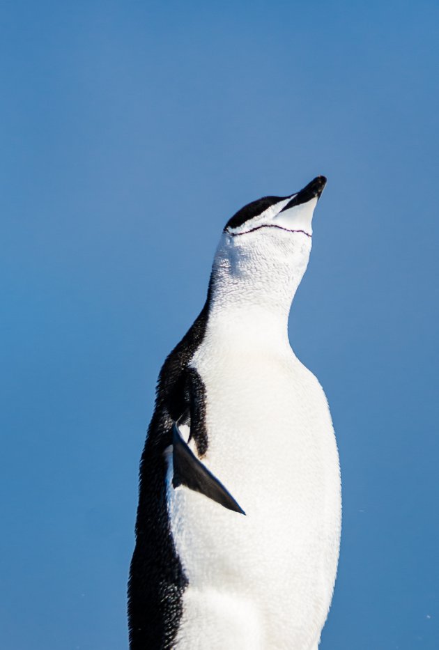 Genieten van de warme zon