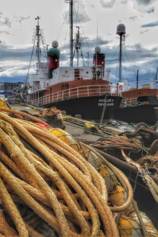 in de haven van Reykjavik