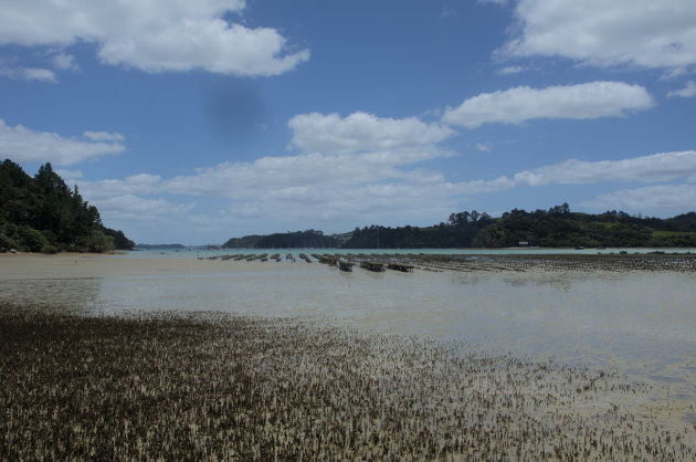 Coastal Walkway Bay of Islands