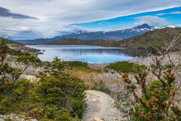 Wandelparadijs NP Torres del Paine