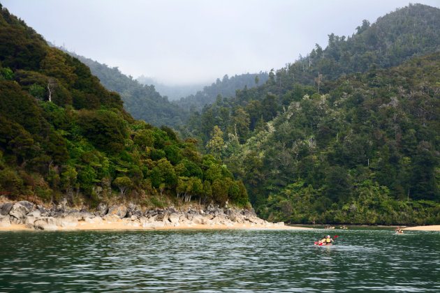 Zeekajakken in het Abel Tasman Nationaal Park