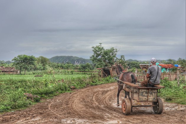 het landelijke leven in Vinales