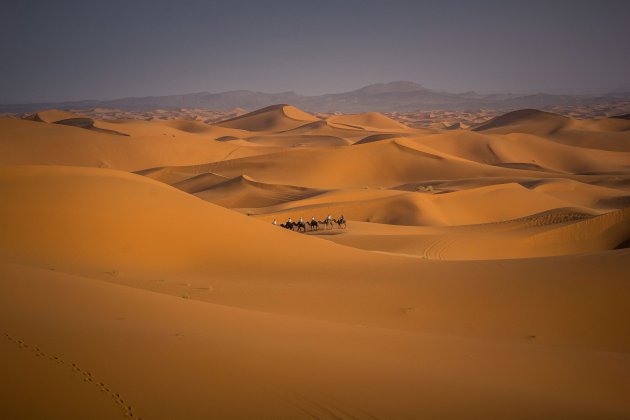 Voor even terug in de Sahara