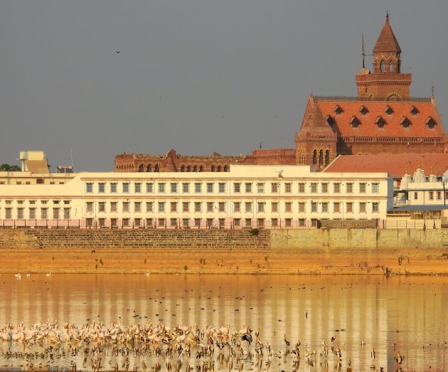 Hamirsar Lake in Bhuj.