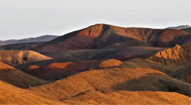 Kleuren van de woestijn