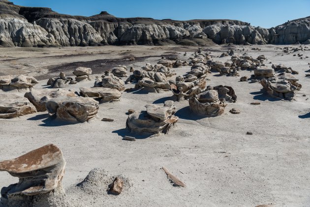 Bisti Badlands