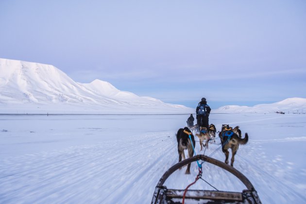 Met snelheid over het winterse landschap van Spitsbergen