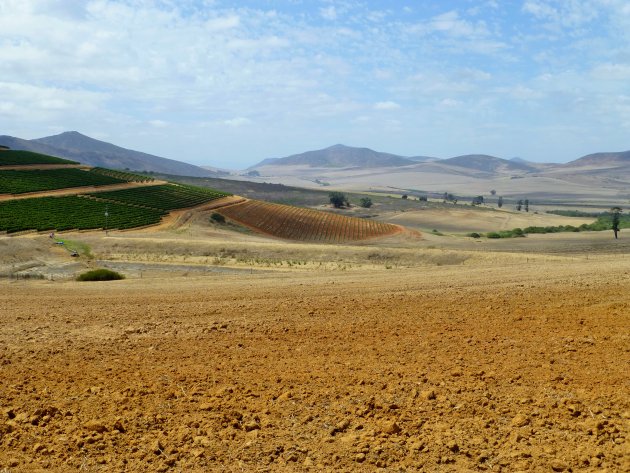 Landerijen Groote Post Darling