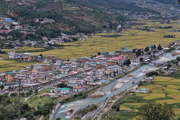 In de Punakha vallei