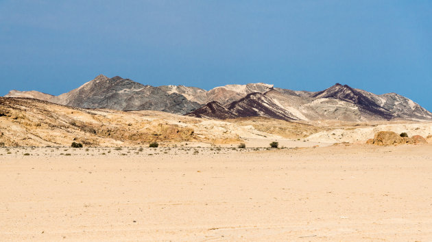 Welwitschia Nature Drive