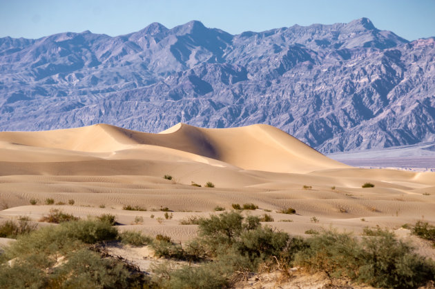 Zandduinen in Death Valley