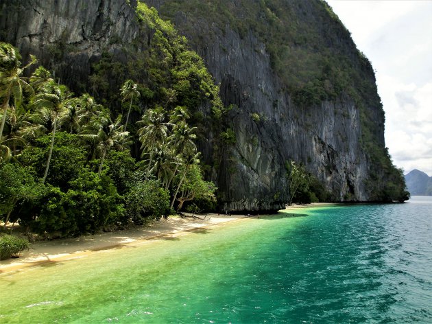 Mellow yellow in Palawan