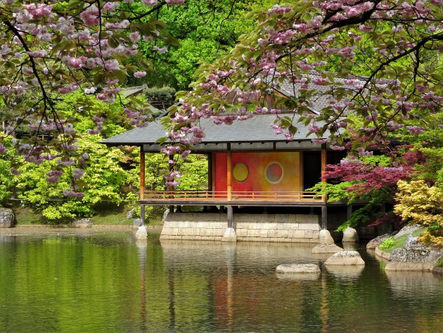 Japanse Tuin in Hasselt