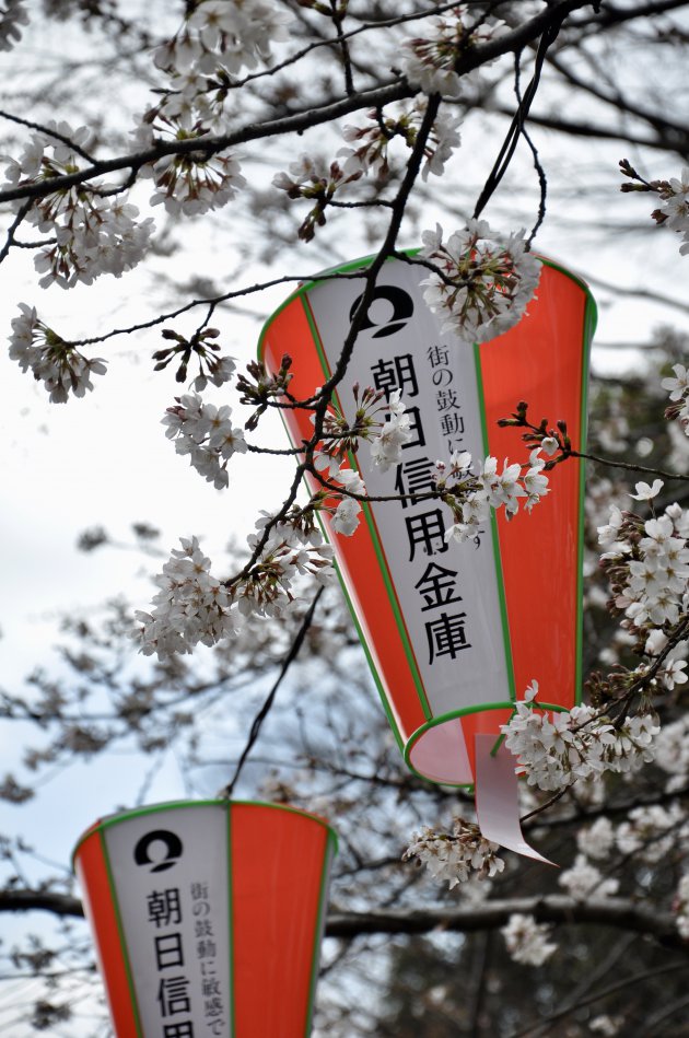 Ueno Park Tokyo