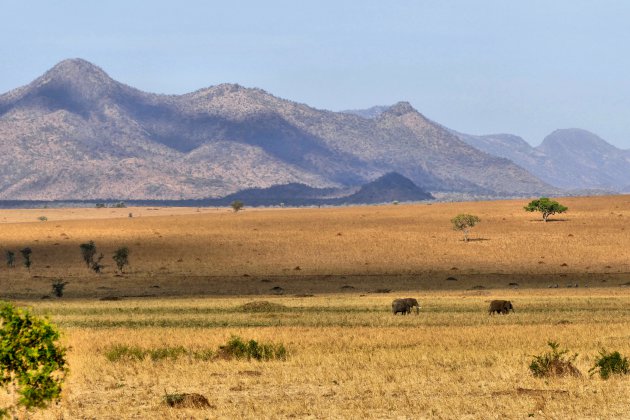 Kidepo nationaal park