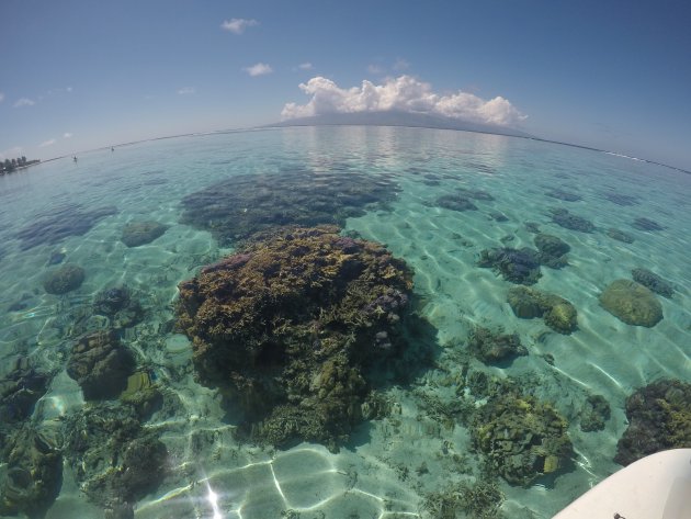 Snorkelen, SU-Paddling, Duiken