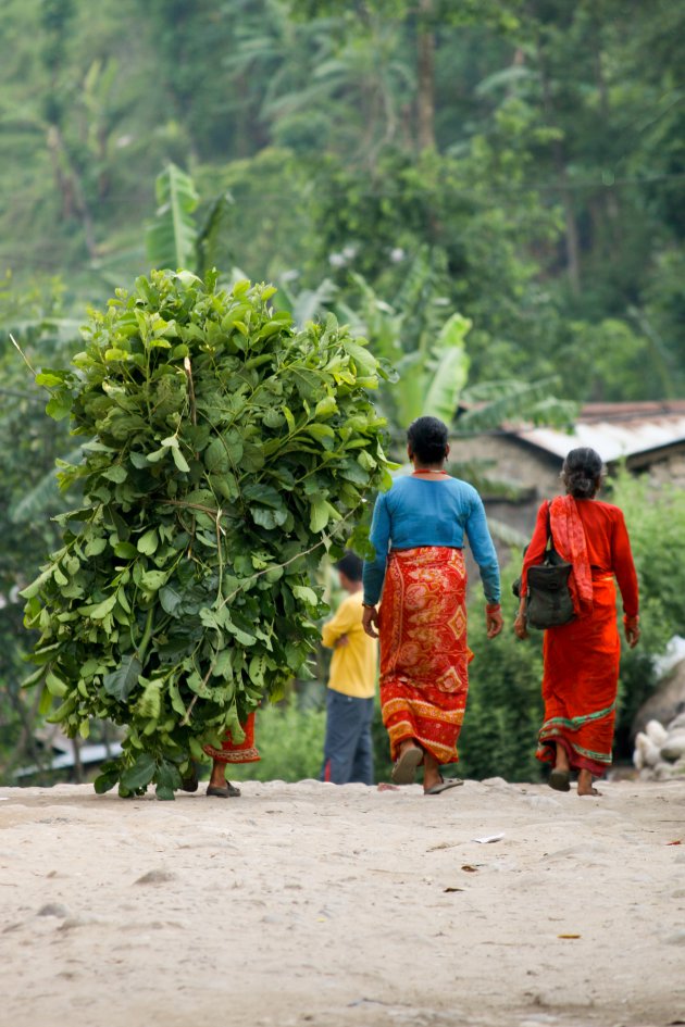 Weg van het drukke Kathmandu