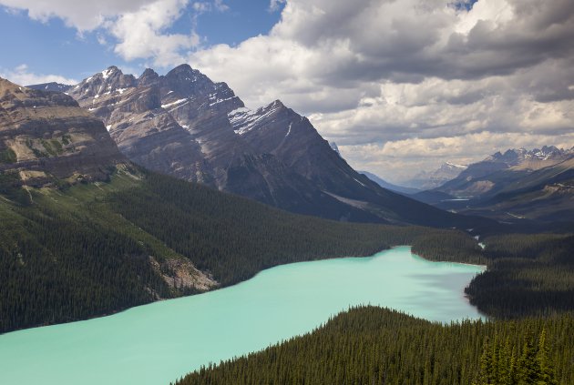 Peyto Lake