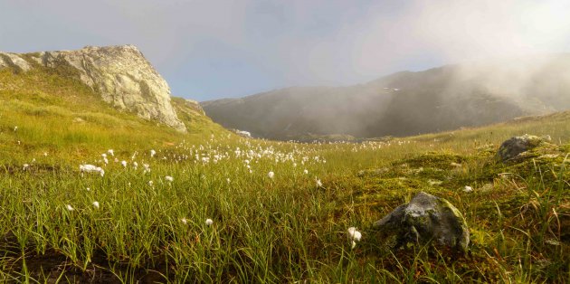 fjorden nabij Odda