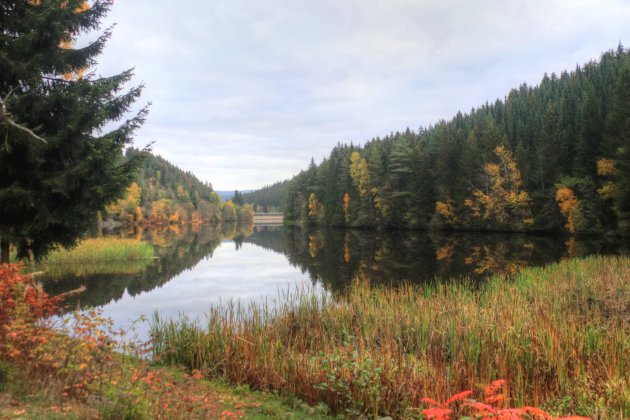 Oderteich Harz